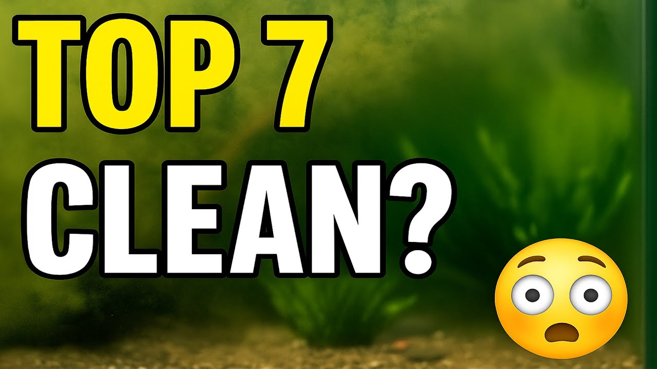 fish tank cleaning gravel vacuum pro tip guide