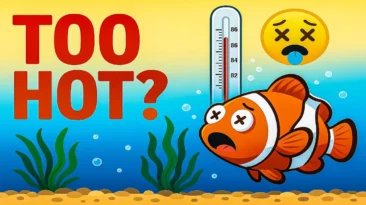 5 Proven Ways to Cool Your Aquarium in Summer (No Chiller Needed!) Easy ways to cool aquarium water without chiller