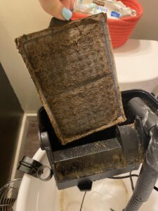 Dirty filter vs healthy biofilm (what “clean” actually means)