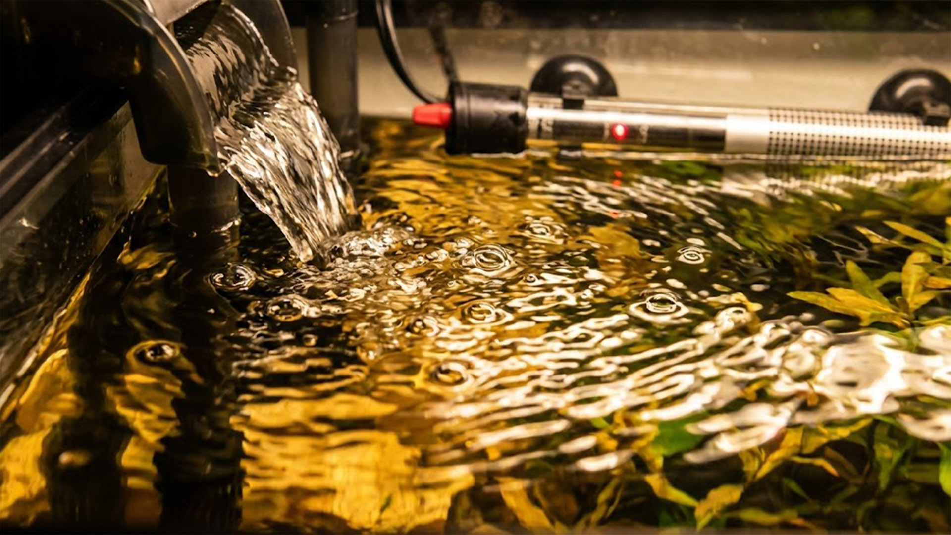 Surface agitation increasing evaporation in an aquarium