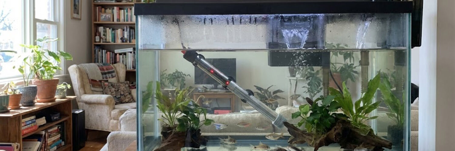 Aquarium water level dropping due to evaporation in a freshwater tank,Aquarium Water Evaporates Fast