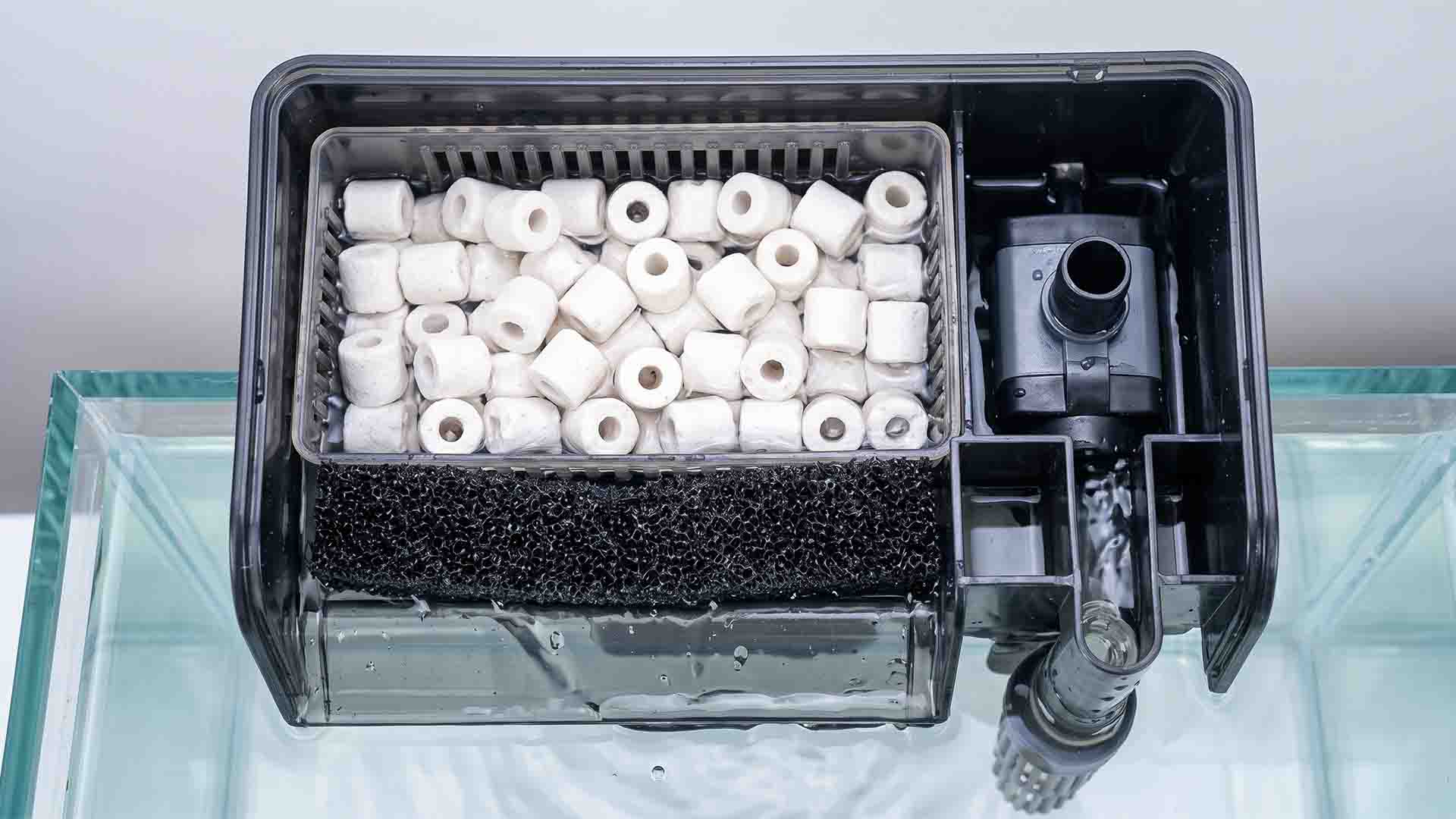 Advanced hang-on-back aquarium filter showing an open basket filled with custom biological media