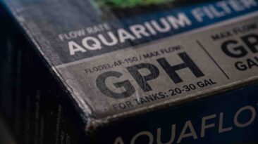 Beginner confused by GPH ratings on standard aquarium filter boxes. Finding the best aquarium filter for beginners isn't about motor speed.