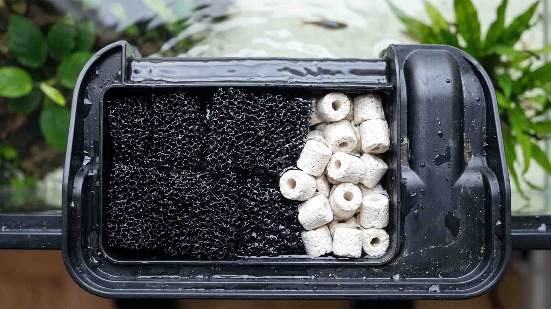 Hang-on-back aquarium filter customized with coarse sponge and permanent ceramic bio-rings