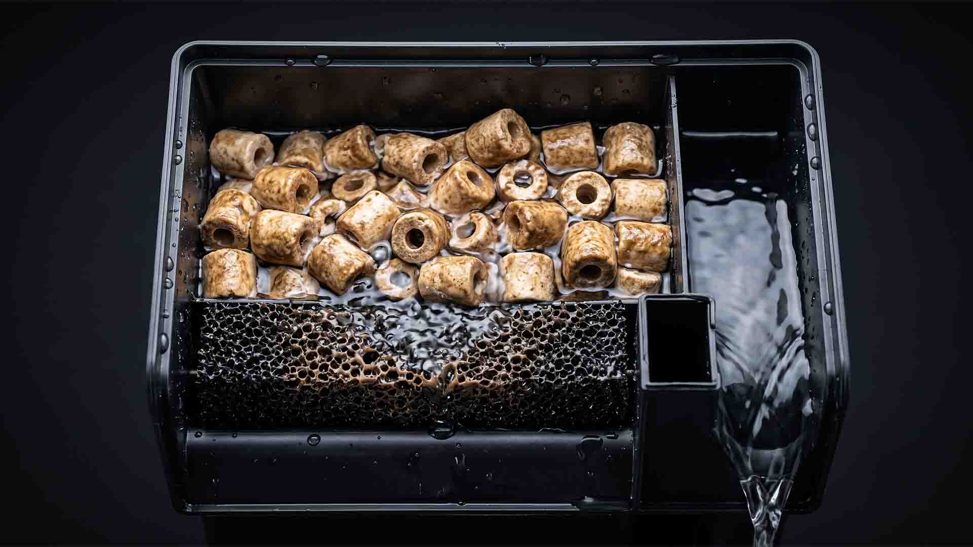 How to Set Up a Fish Tank: The 18-Step Masterclass to Prevent the 30-Day Crash Hang-on-back filter upgraded with biological coarse sponge and ceramic bio-rings