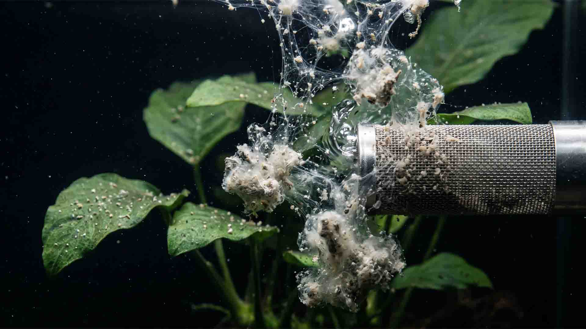 Aquarium chemical water clarifier flocculant polymer particles clogging biofilter pores and fish gills