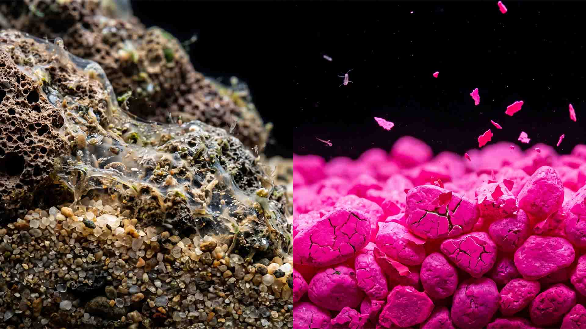 How to Set Up a Fish Tank: The 18-Step Masterclass to Prevent the 30-Day Crash Comparison of natural porous aquarium sand and toxic painted gravel