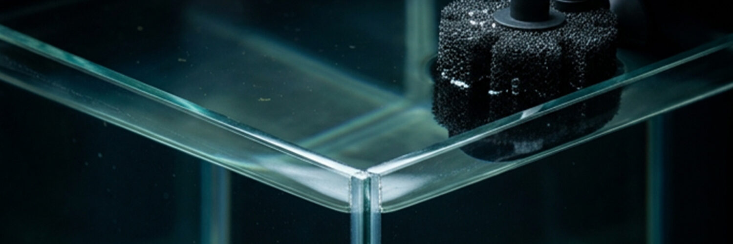 Macro split view of a pristine new aquarium showing invisible toxic ammonia and biological vacancy behind crystal-clear water (Most fish tank setup mistakes)