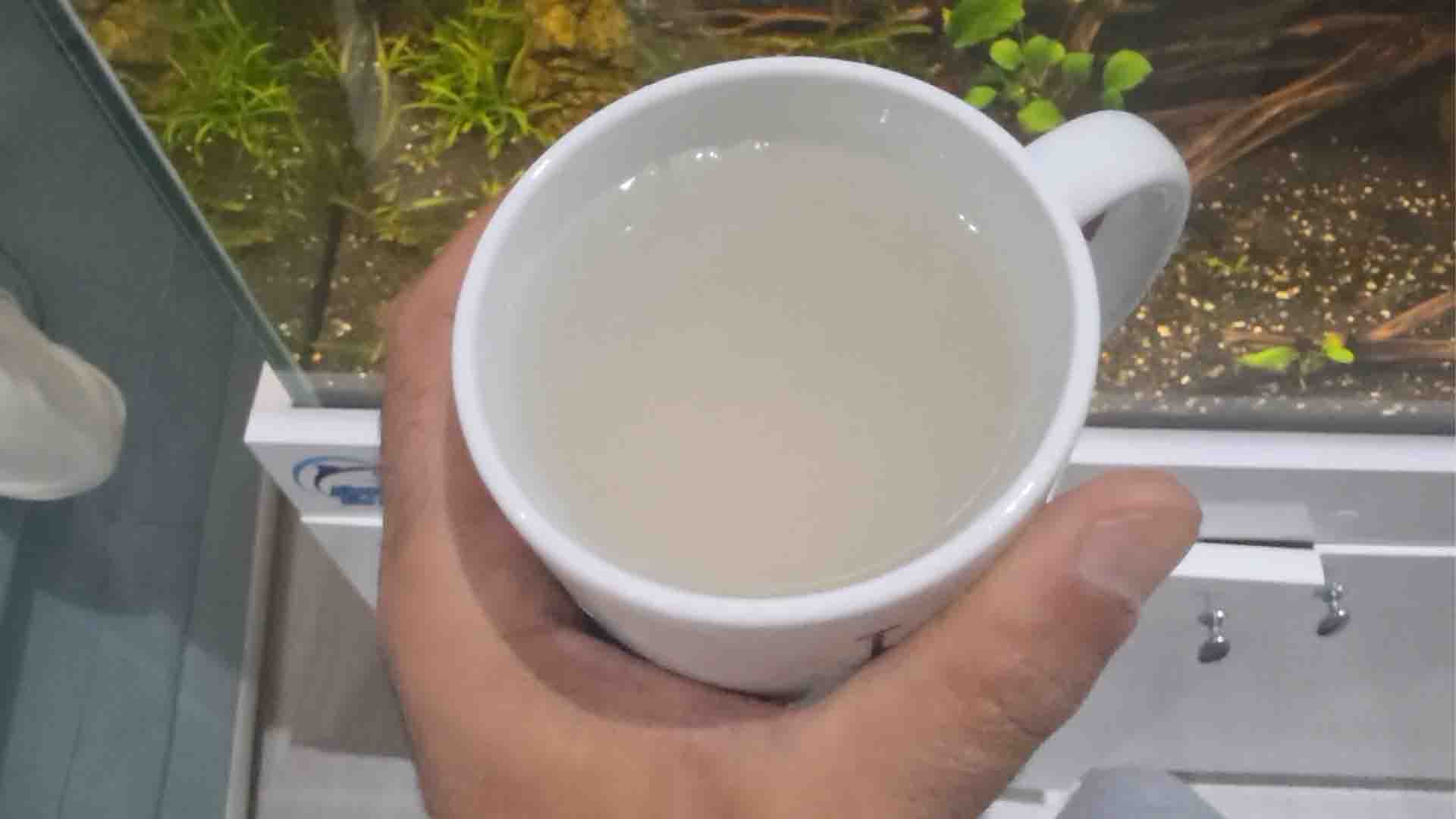 How to Clear Cloudy Aquarium Water (10-Step Fix) Aquarium white mug test diagnosing milky bacterial bloom versus settled sand dust particles in aquarium water
